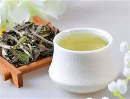 易衡草木饮品 易衡草木饮品