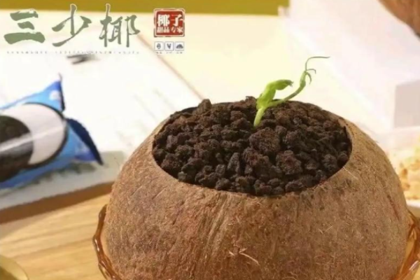 三少椰椰子甜品店加盟